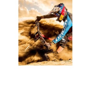 FOMEI SA Paper Pearl 240 cat Vert